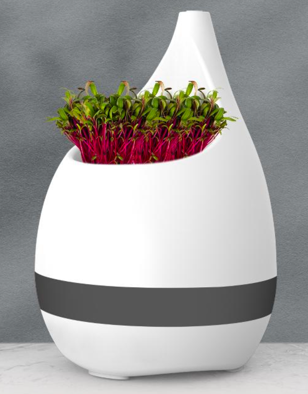 eo Sprout - Table top plant pot