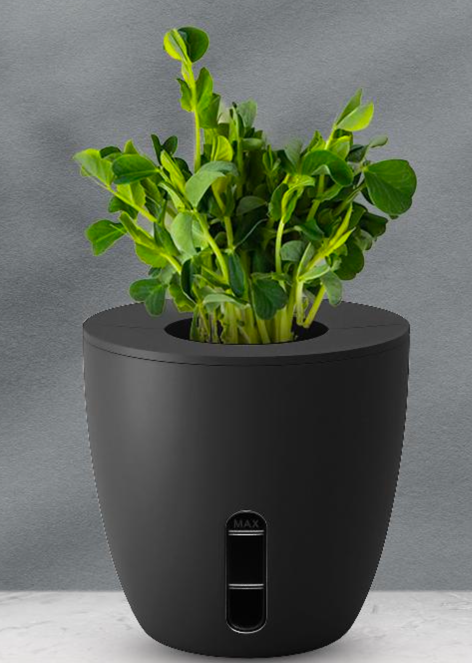 eo Terra - Self Watering Plant Pot