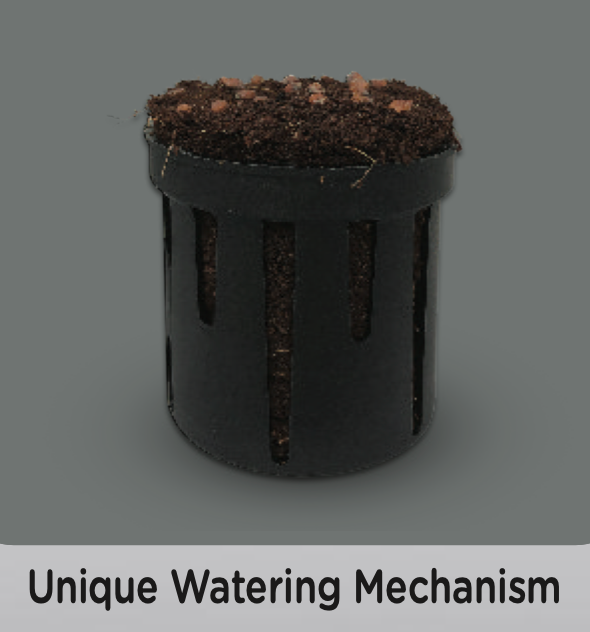 eo Terra - Self Watering Plant Pot